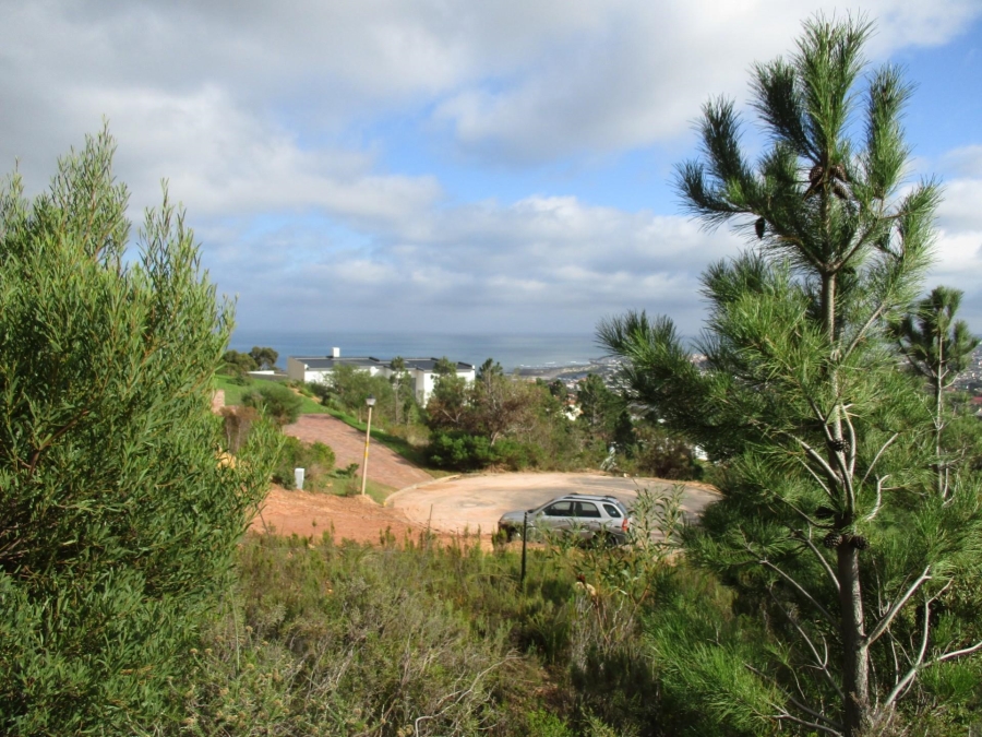 0 Bedroom Property for Sale in Mountainside Western Cape